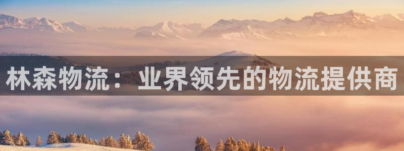 南宫28圈怎么注册：林森物流：业界领