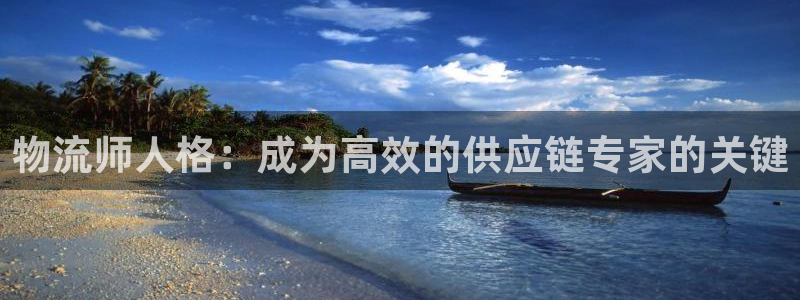 28圈加拿大28：物流师人格：成为高