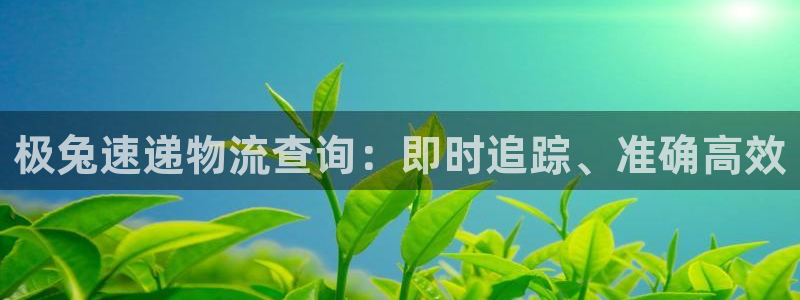 28圈注册网页版：极兔速递物流查询：