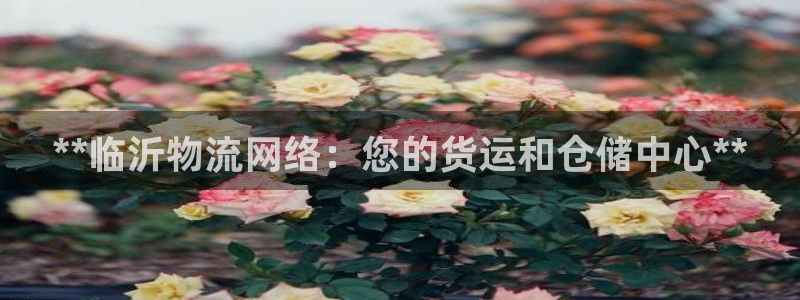 28圈软件有什么用：**临沂物流网络