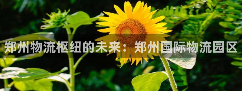 28圈官网注册：郑州物流枢纽的未来：
