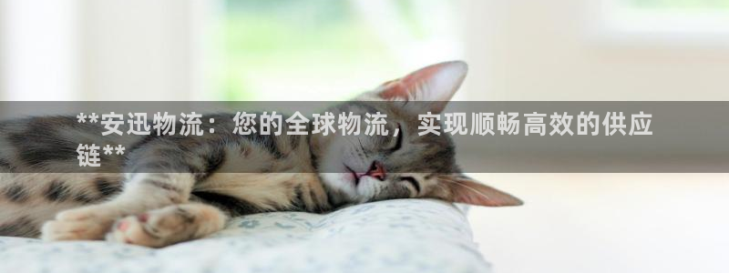 28圈初始资金密码是什么：**安迅物