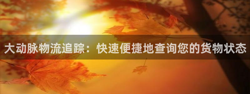 28圈APP是干什么的：大动脉物流追