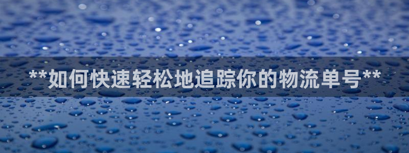 28圈模拟器在线使用：**如何快速轻