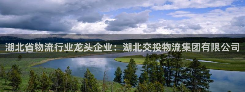 28圈开奖预测：湖北省物流行业龙头企