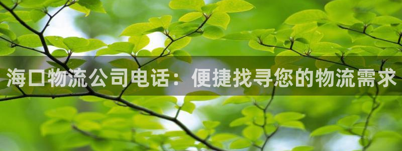 28圈.ccmpc预测：海口物流公司