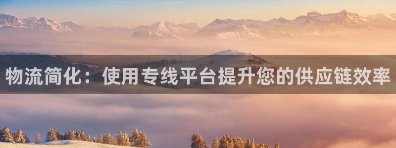 28圈游戏官网版：物流简化：使用专线平台提升您的供应链效率