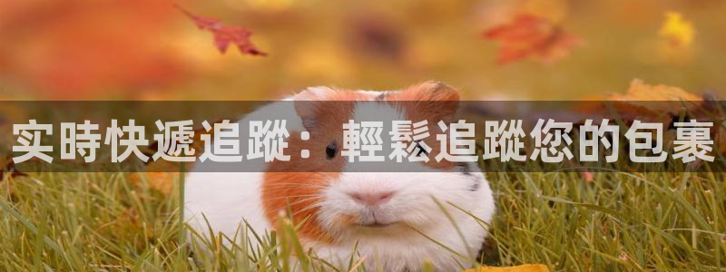 28圈人工客服电话是什么：实時快遞追