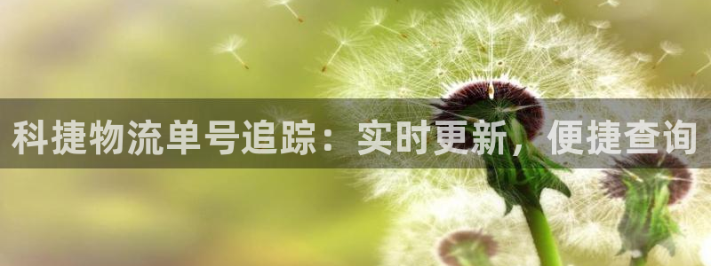 28圈连接：科捷物流单号追踪：实时更