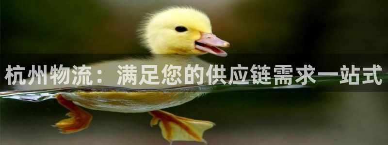 28圈为什么没有赢过一次：杭州物流：