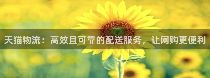 28圈连接：天猫物流：高效且可靠的配