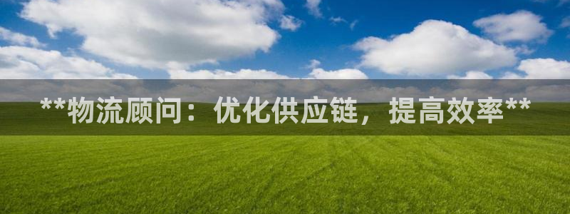 28圈开奖预测：**物流顾问：优化供应链，提高效率**