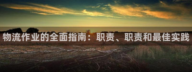 28圈可靠吗：物流作业的全面指南：职责、职责和最佳实践