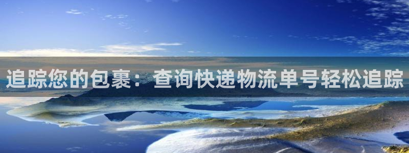 28圈加拿大28：追踪您的包裹：查询