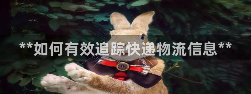 28圈怎么注册账号：**如何有效追踪