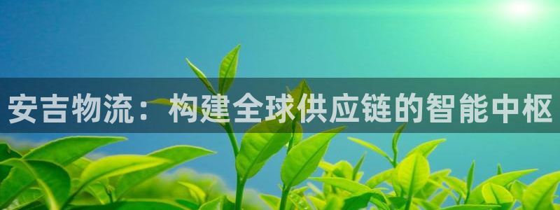 28圈是正规软件吗