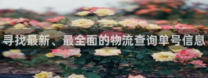 28圈玩法