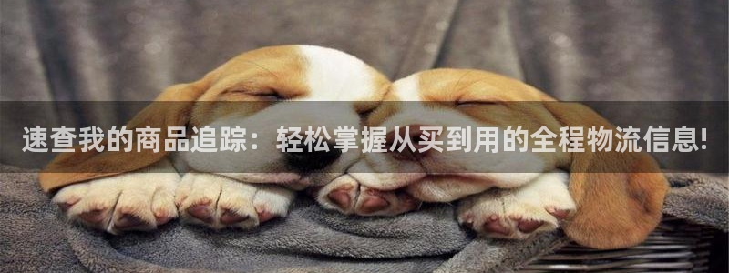 28圈怎么下载教程