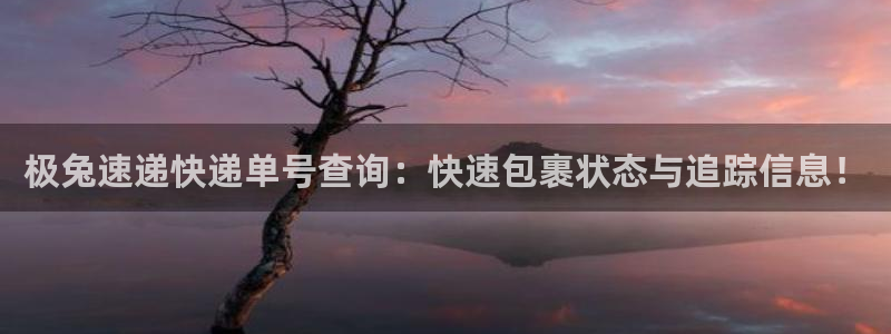 28圈下载体育