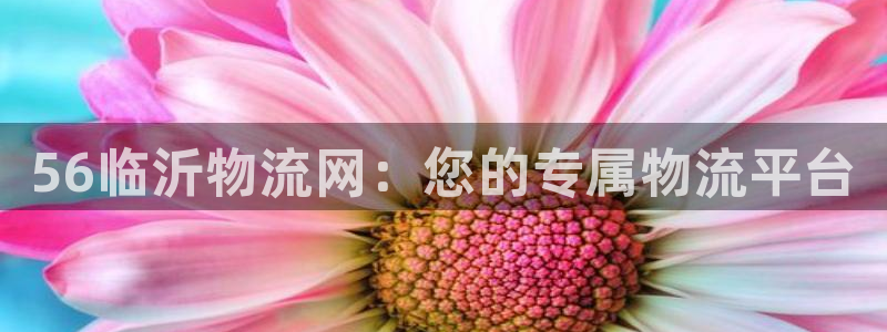 28圈模拟器在线使用