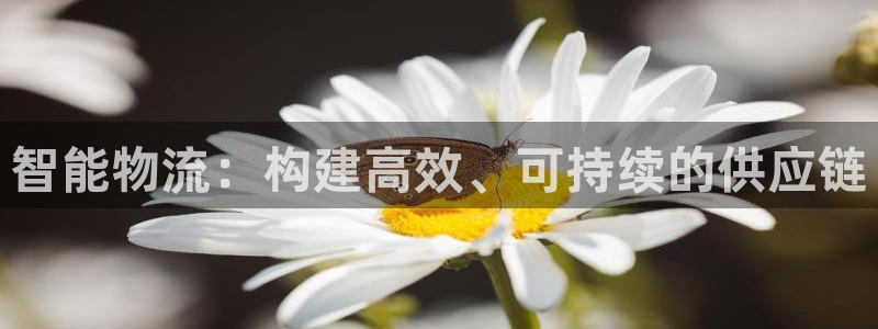 28圈链接来一个
