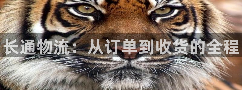 28圈在线预测官网:长通物流:从订单