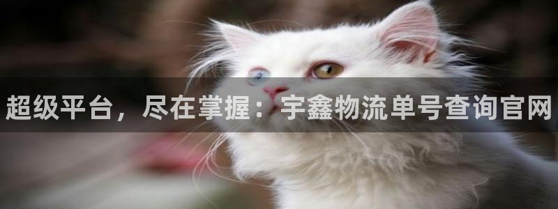 28圈注册教程：超级平台，尽在掌握：