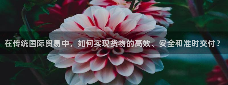 28圈网站平台是多少：在传统国际贸易