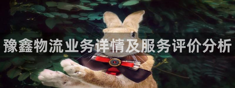 28圈分分压单双技巧：豫鑫物流业务详