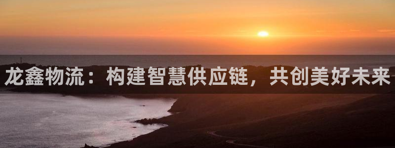 28圈南宫娱乐官网：龙鑫物流：构建智