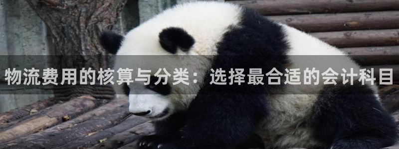 28圈新用户怎么注册：物流费用的核算