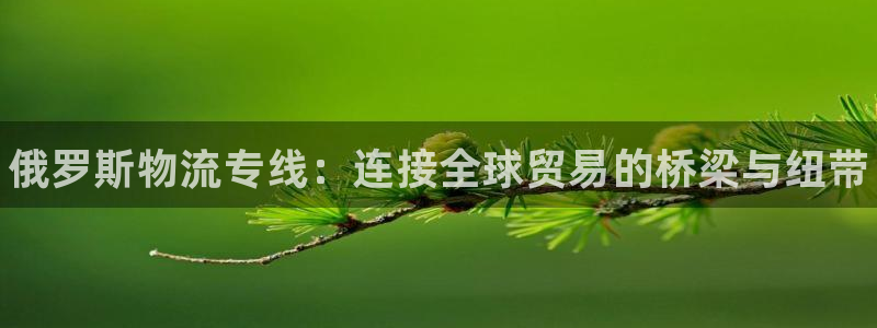 南宫28圈官网:俄罗斯物流专线:连接