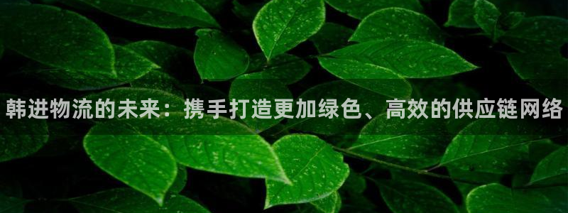 28圈反水怎么算:韩进物流的未来:携