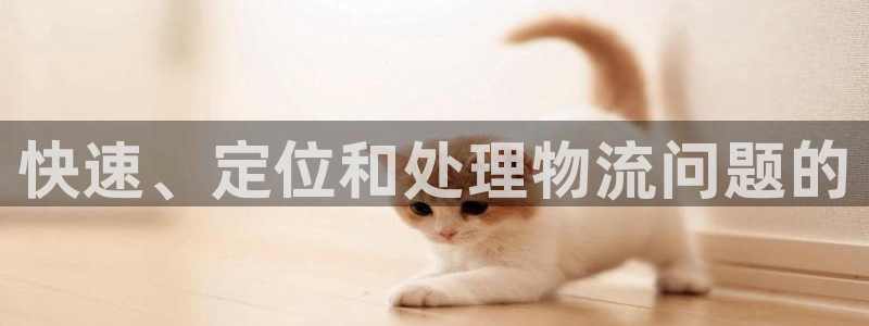 28圈软件：快速、定位和处理物流问题