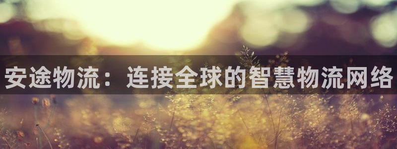 28圈新用户怎么注册:安途物流:连接