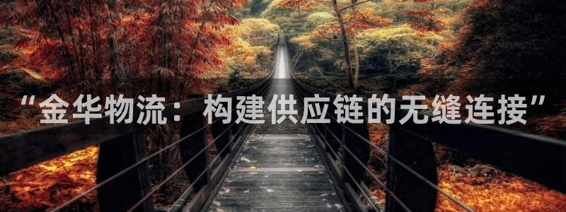 28圈大神预测:“金华物流:构建供应