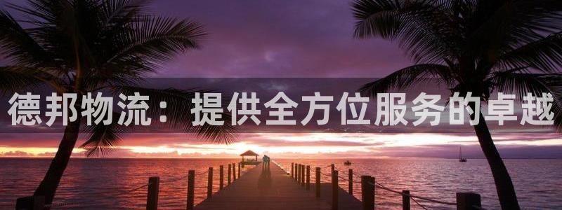 28圈加拿大下载:德邦物流:提供全方