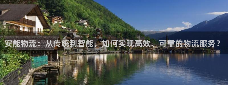 28圈口：安能物流：从传统到智能，如