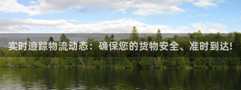 28圈哪个最赚钱:实时追踪物流动态: