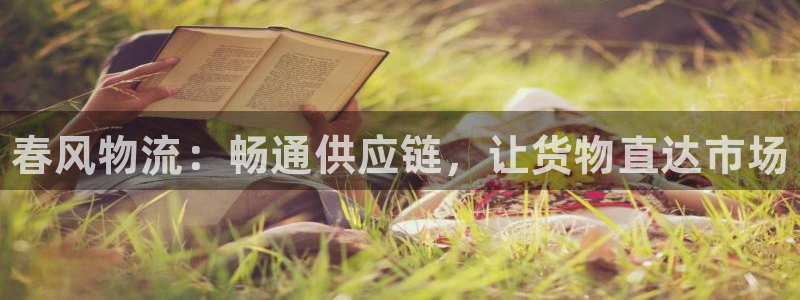 28圈加拿大是什么：春风物流：畅通供