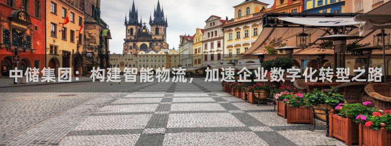 28圈官方官网:中储集团:构建智能物