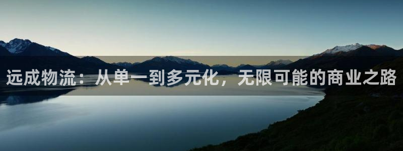 28圈充值不到账什么原因：远成物流：