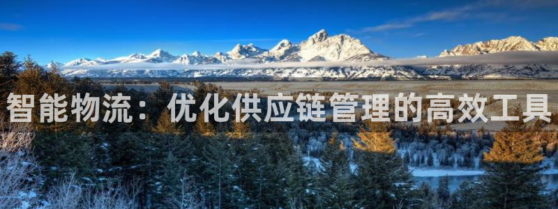 28圈模拟器在线玩：智能物流：优化供