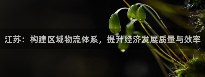 28圈推广链接是多少钱一个：江苏：构