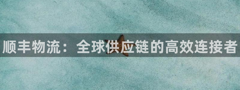 28圈百度百科：顺丰物流：全球供应链