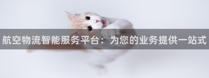 28圈加拿大模拟器：航空物流智能服务平台：为您的业务提供一站