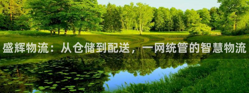 28圈正规吗?：盛辉物流：从仓储到配