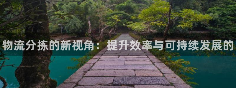 28圈如何退款:物流分拣的新视角:提