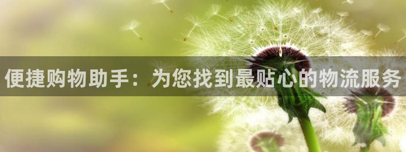 28圈官网版所有版本：便捷购物助手：为您找到最贴心的物流服务