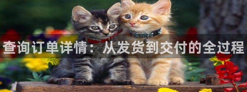 28圈登录不上咋回事:查询订单详情: